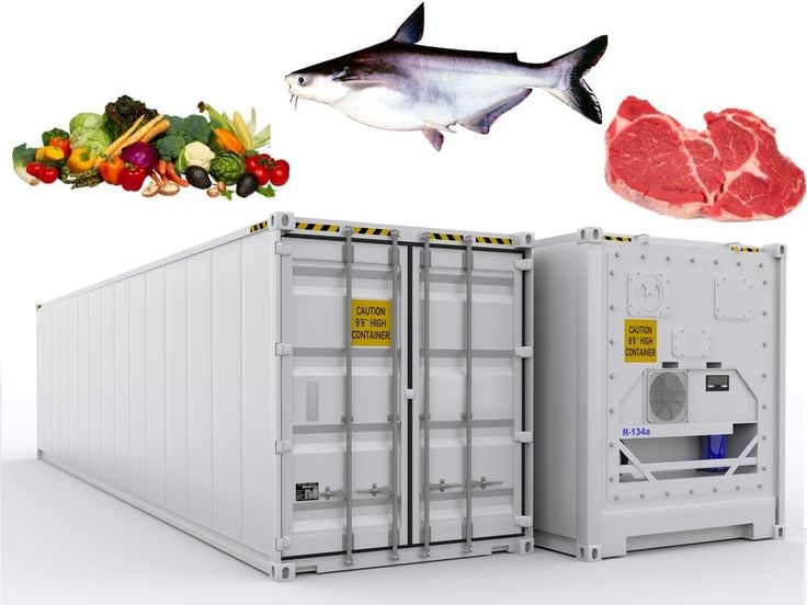 dịch vụ vận tải đông lạnh quận 12